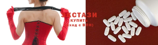 ECSTASY Богородск