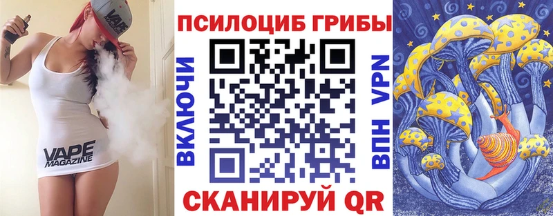 Галлюциногенные грибы Psilocybine cubensis  ссылка на мегу ссылки  Будённовск 